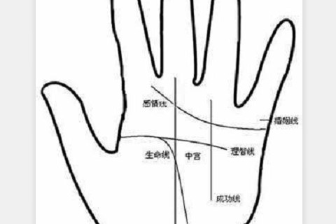 事業(yè)線短分叉多?事業(yè)線短的男人命運(yùn)