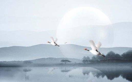 好聽的壽司名字 好聽的壽司名字