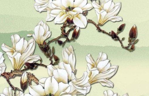 3856-.新生兒好聽的名字大全 3856-.新生兒好聽的名字大全