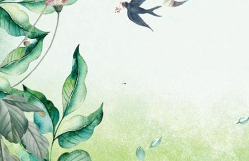 好聽的酵素名字 好聽的酵素名字