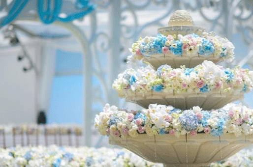 金牛座和獅子座配嗎? 金牛座和獅子座配嗎?