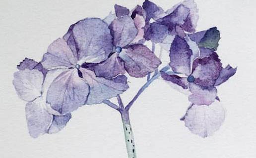 孩子名字大全免費2022年女孩 孩子名字大全免費2022年女孩