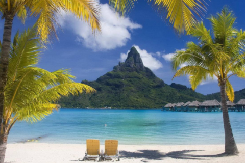 1974年屬虎是什么命 1974屬虎人終身的三大坎