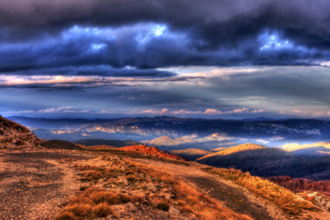 1998年屬虎是什么命 1998屬虎最佳婚配屬相