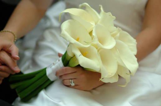 心腸最軟最溫柔最易被感動的星座 心腸最軟最溫柔最易被感動的星座