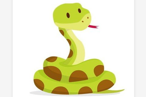 屬豬和屬蛇真的不能結婚嗎?屬豬和屬蛇的子女緣怎么樣