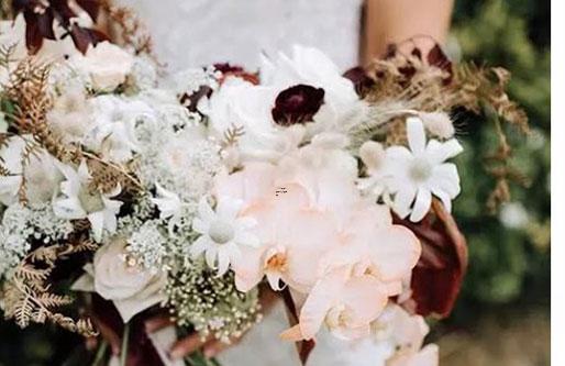 男獅子座二區和女處女座一區配對 男獅子座二區和女處女座一區配對