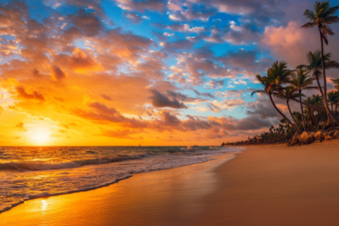 雞和龍相配嗎 雞和龍在一起有財運嗎