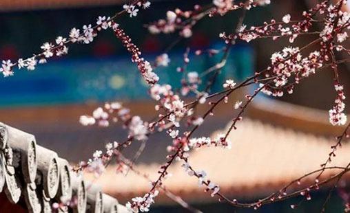 3873-.好聽的xianggang
女孩名字 3873-.好聽的xianggang
女孩名字