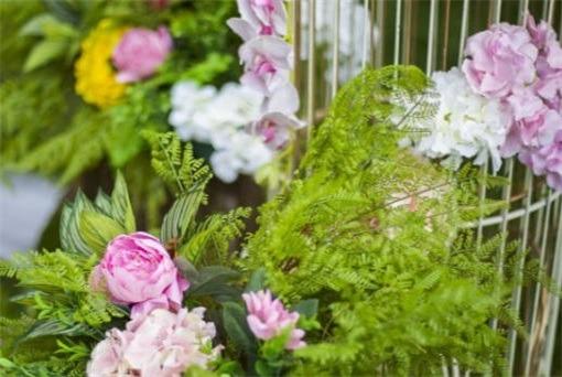 戀愛中情商低的星座女 戀愛中情商低的星座女