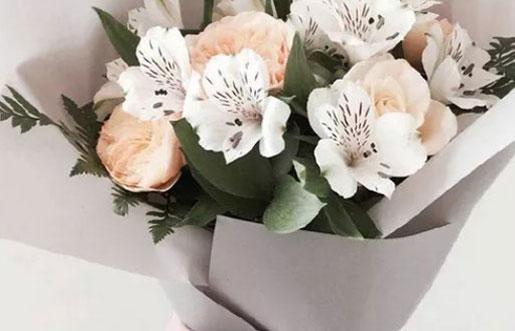 男摩羯座三區和女摩羯水瓶座配對 男摩羯座三區和女摩羯水瓶座配對