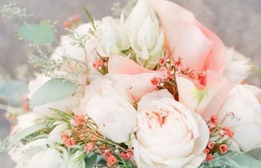 白羊座與雙魚座配對 白羊座與雙魚座配對