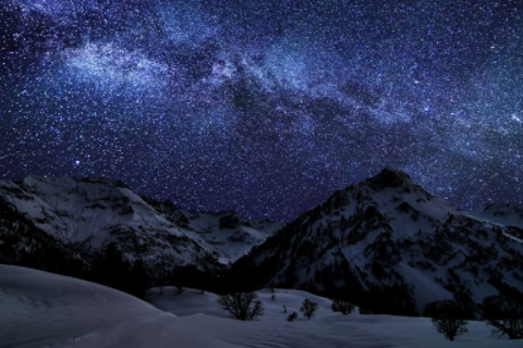 屬牛和屬虎的相配嗎 屬牛和屬虎合伙做生意怎么樣