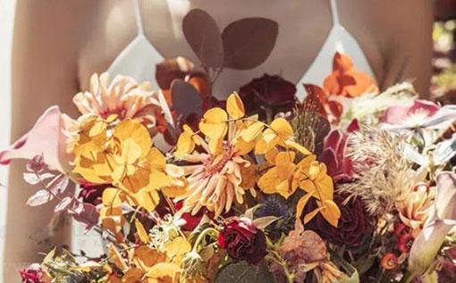 處女座和金牛座配嗎？