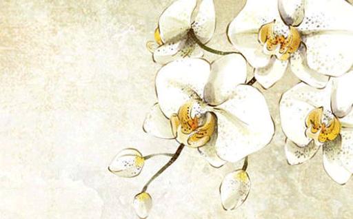 2023年太歲圖案 2023年太歲圖案