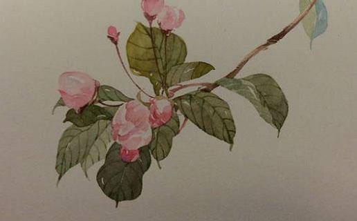 唯美好聽的名字 唯美好聽的名字