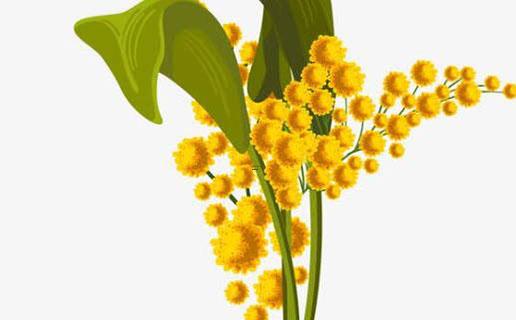 3902-.給馬犬取個好聽的名字 3902-.給馬犬取個好聽的名字