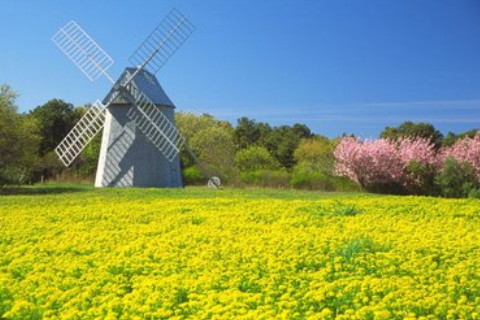 葵丑日柱2023年運(yùn)勢(shì)?癸丑日柱男命2023年運(yùn)勢(shì)如何