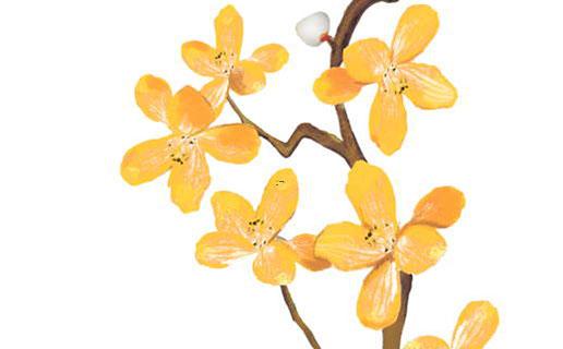 好聽的黑狗名字 好聽的黑狗名字