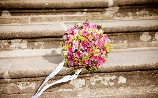 最聽話的脾氣好的星座