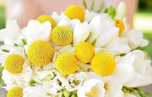 13927-.男人最花心的星座女 13927-.男人最花心的星座女