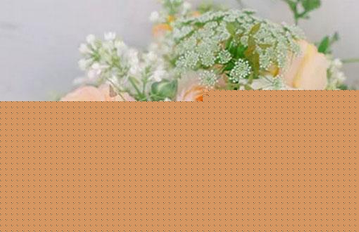 男處女座二區和女雙魚座三區配對