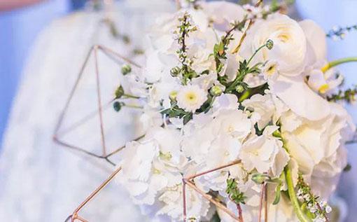 金牛愛情星座配對