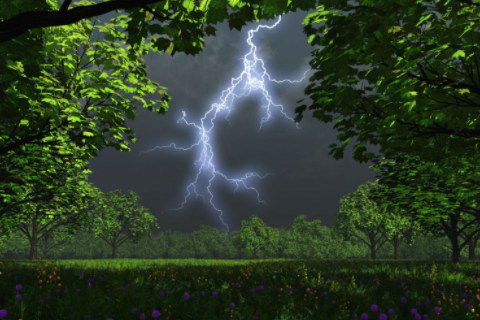 金牛座和射手座配嗎 金牛和射手的匹配度是多少