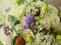 十二星座都是什么大王