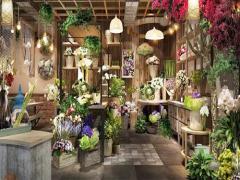 夢(mèng)見死雞周公解夢(mèng),夢(mèng)見死雞是什么意思?