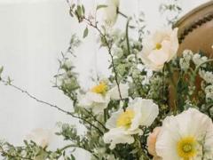 zuoai
最持久的星座排行