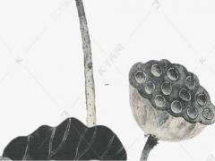 怎么樣可以化解太歲