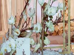 哪些星座愛(ài)上同星座會(huì)幸福