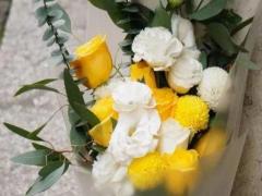 我的十二星座男友漫畫