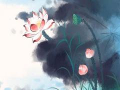 屬虎的女寶寶取名字