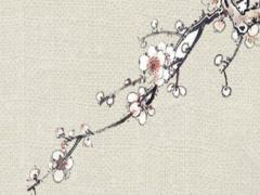 生肖兔犯太歲年份