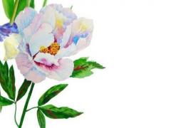 娃娃家好聽的名字