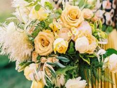 3月24日生日書,3月24日是什么星座:白羊座