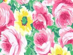 2023年屬猴女婚姻如何