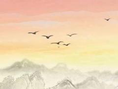 2022年的虎寶寶名字