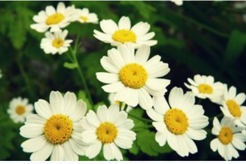 乙亥日女命最忌諱什么?乙亥日女命婚姻