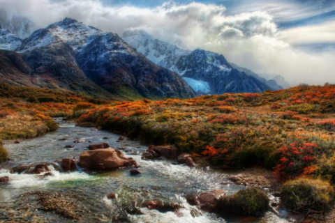 生肖龍和什么生肖最配 生肖龍最配的生肖