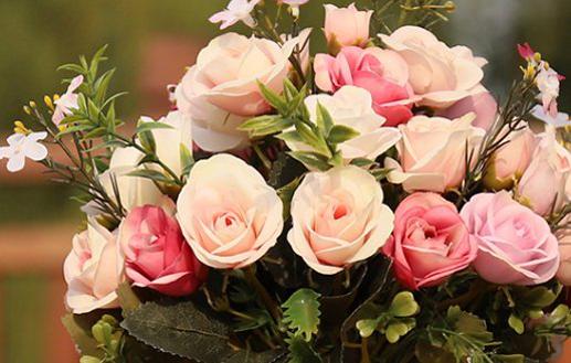 男金牛座三區和女金牛座三區配對