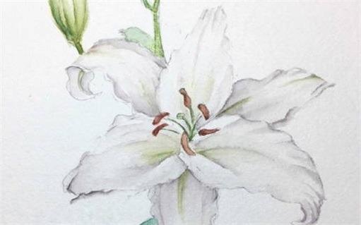 水瓶座2023年佩戴什么 水瓶座2023年佩戴什么