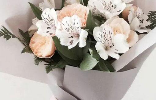 十二星座誰喜歡獅子座