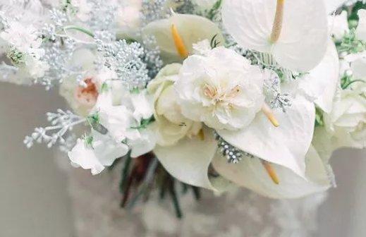 十二星座配對打分查詢:雙子座 十二星座配對打分查詢:雙子座