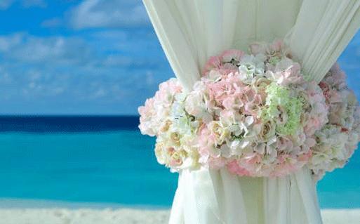 jiduan
矛盾的星座 jiduan
矛盾的星座