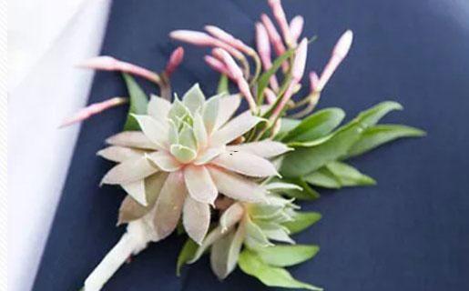 月亮落在獅子座 月亮落在獅子座