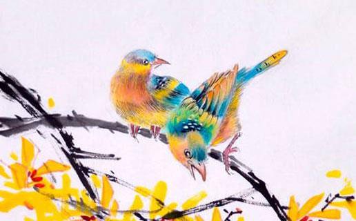 小母狗的名字好聽 小母狗的名字好聽