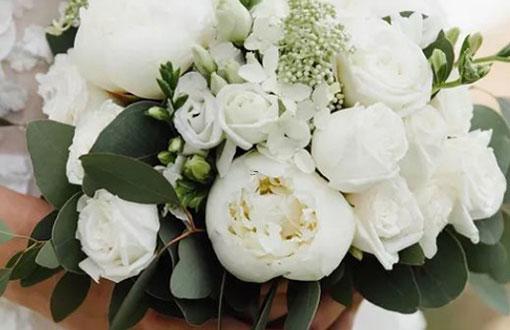 十二星座女生誰是受